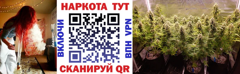 Наркотические вещества Торжок Каннабис  A PVP  ГАШ 