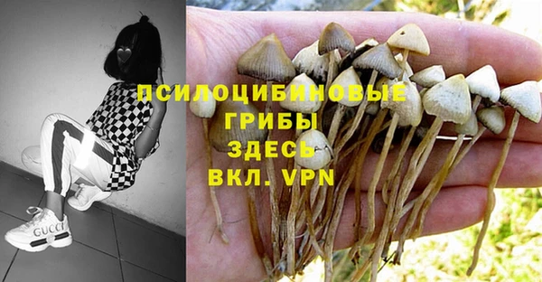 спайс Абинск
