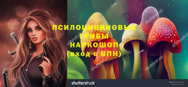 спайс Абинск