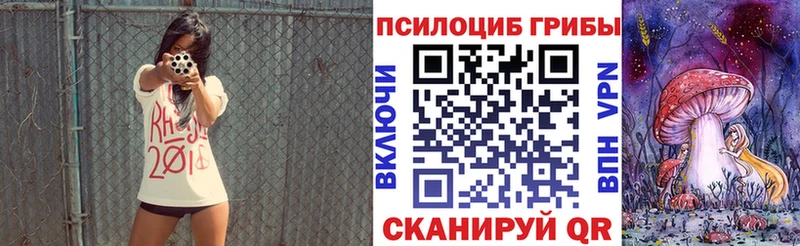 Галлюциногенные грибы Psilocybe  shop официальный сайт  Торжок 