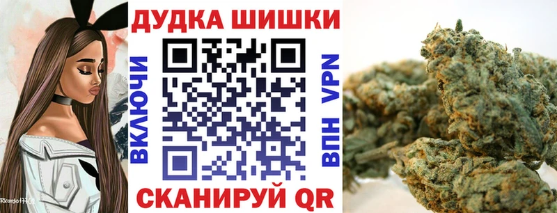 kraken маркетплейс  купить наркотик  Торжок  Канабис семена 